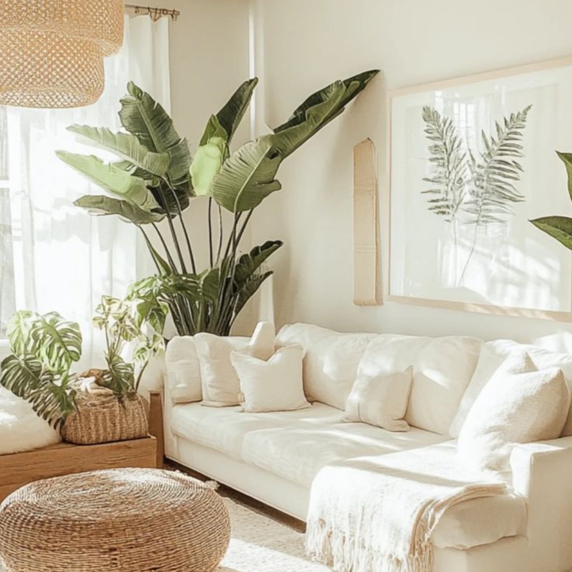 Decoração